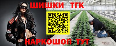 Альфа ПВП Пушкино
