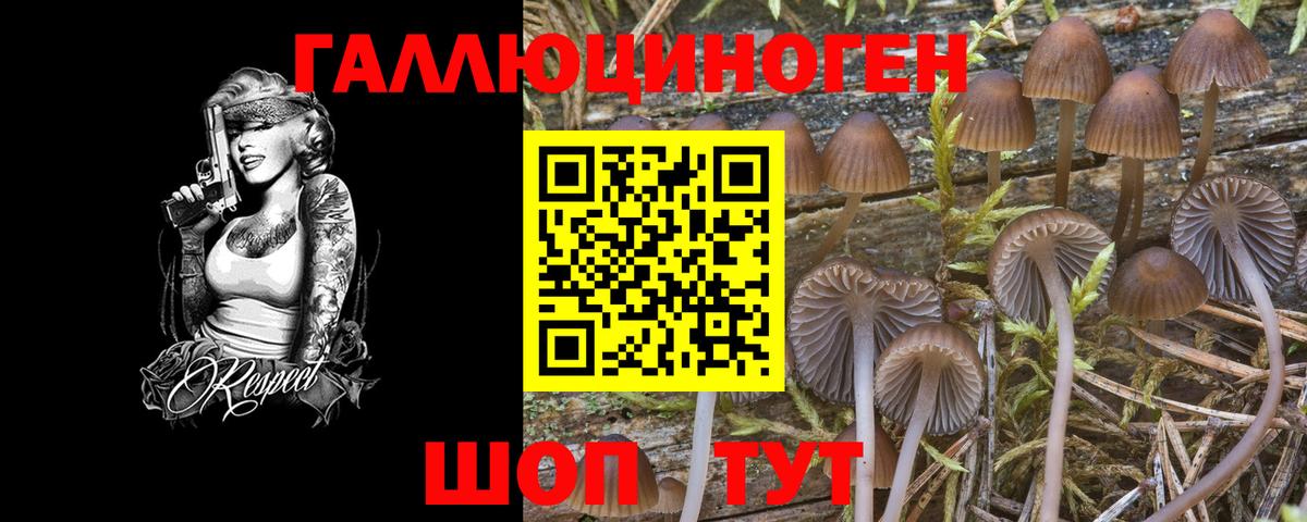 Псилоцибиновые грибы GOLDEN TEACHER  Псилоцибиновые грибы GOLDEN TEACHER  Вход с VPN  Ростов-на-Дону 